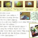 자연공방 이미지