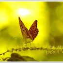 인터넷 기초 이미지