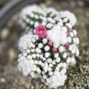 중마장애인복지관 이미지