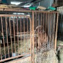 연신농장 이미지