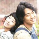 옥탑방고양이 이미지