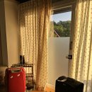 킹라온스파 이미지