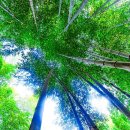 관방마을회관 이미지