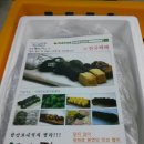 한산모시떡명가