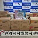 에버그린 이미지