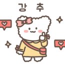 디디네일바