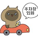 건지산도토리 이미지