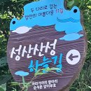 제705차, 호사한 함안 성산산성길과 강주해바라기 축제길 이미지