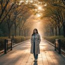 홍제3교 공중화장실 | 홍제천 단풍길, 서울의 숨겨진 가을 산책로 솔직 후기