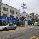 대일침장 이미지