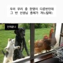 오래