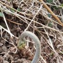 예정농장 이미지