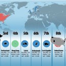 (주)한국인터넷 이미지