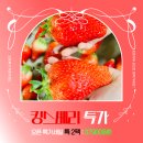 파밍스토어 이미지