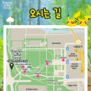 찍는 것마다 인생샷! 귀여움 한도 초과! 서울숲 포켓몬 시크릿 포레스트 후기와 팁
