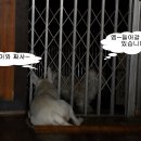 얘들아놀자 이미지