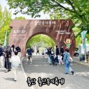 초록마을 남창점 | 울산옹기축제 직접 가본 후기 주차부터 체험 경쟁 치열한 이유