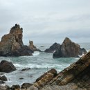 금강송계곡민박 이미지