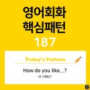 [초중급편 187] 'How / do you like + 명사?'((명사)는 어때요?) 이미지