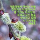 제1회 올댓 마인드 학원리그 이미지