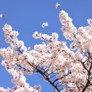 아양1로 이미지