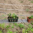 천안청룡초등학교 이미지