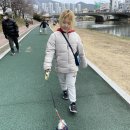 아껴줄개 이미지