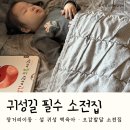 소전 | 증조할머니 만나러 가는 장거리 귀성길엔 이게 딱｜블루래빗 오감발달 소전집 후기