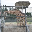 전주동물원 이미지