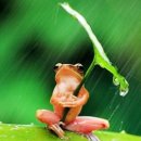 아,귀여워 이미지