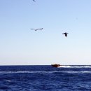 라림부띠끄호텔 이미지