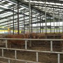 이용복농장 이미지