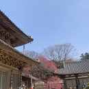 화엄사 티스토리