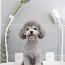 플러스모어