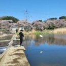 박상연축사 이미지