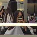 자유미용실 - 광양시 | 대치동미용실 레이어드컷 에코쟈뎅 대치테라스점 찐만족후기