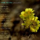 컬드삭 이미지