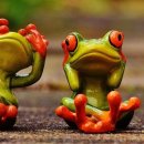 다비치히어링 수정점 이미지