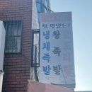 고향족발 네이버블로그