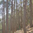 한샘약수터 | 구덕산, 시약산, 승학산 둘레길