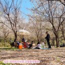 꽃우물공원 화장실 이미지