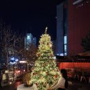 수지지역난방공사버스정류장_R | 경기도 용인 놀거리 대형 크리스마스 트리 수지 카페 레드빅