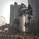 서구-01-128 이미지