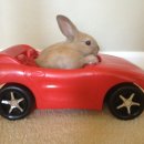 매송고색로506번길 | 저 면허 있는 여자입니다?