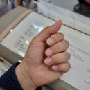 네일바이유 이미지