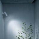 헤어쁘띠 이미지