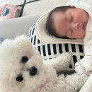 세븐일레븐 광주기독병원점 | 👉 아기 뒤통수 납작… 사두사경 진단부터 ‘정상’까지 (광주기독병원 후기)