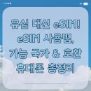 유심 대신 eSIM! eSIM 사용법, 가능 국가 &amp; 호환 휴대폰 총정리