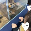 동흥재첩국 | 경남_아기랑 하동 5박 6일 여행 후기(2)(12개월 돌아기랑)(최참판댁 한옥호텔)