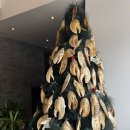 뉴욕바닷가재 | 🦞 뉴욕바닷가재 신월본점 점심 방문 후기